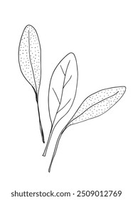 Esquema ilustración Vector Imagen de un sabio.
Dibujado a mano de un sabio.
Logo original lindo simple.
Ilustración vectorial dibujada a mano para carteles.