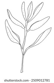 Imagem vetorial da ilustração do contorno de um estágio.
Arte desenhada à mão de um sábio.
Simples bonito logotipo original.
Ilustração vetorial desenhada à mão para cartazes.