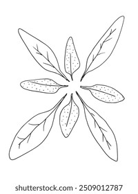 Imagem vetorial da ilustração do contorno de um estágio.
Arte desenhada à mão de um sábio.
Simples bonito logotipo original.
Ilustração vetorial desenhada à mão para cartazes.