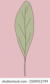 Outline illustration vector image of a sage.
Hand drawn artwork of a sage.
Simple cute original logo.
Hand drawn vector illustration for posters.