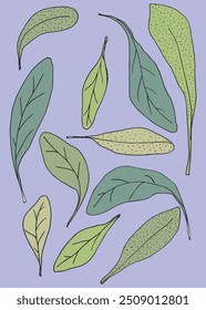 Imagem vetorial da ilustração do contorno de um estágio.
Arte desenhada à mão de um sábio.
Simples bonito logotipo original.
Ilustração vetorial desenhada à mão para cartazes.