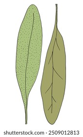 Imagem vetorial da ilustração do contorno de um estágio.
Arte desenhada à mão de um sábio.
Simples bonito logotipo original.
Ilustração vetorial desenhada à mão para cartazes.