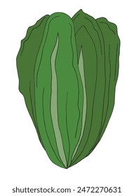 Ilustración de contorno Imagen de Vector de una ensalada.
Dibujado a mano de una ensalada.
Simple lindo logotipo original.
Ilustración vectorial dibujada a mano para carteles.