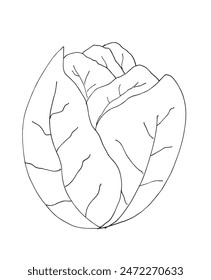 Ilustración de contorno Imagen de Vector de una ensalada.
Dibujado a mano de una ensalada.
Simple lindo logotipo original.
Ilustración vectorial dibujada a mano para carteles.