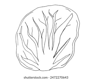 Outline illustration vector image of a salad.
Hand drawn artwork of a salad.
Simple cute original logo.
Hand drawn vector illustration for posters.