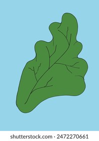 Outline illustration vector image of a salad.
Hand drawn artwork of a salad.
Simple cute original logo.
Hand drawn vector illustration for posters.