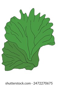 Outline illustration vector image of a salad.
Hand drawn artwork of a salad.
Simple cute original logo.
Hand drawn vector illustration for posters.