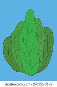 Outline illustration vector image of a salad.
Hand drawn artwork of a salad.
Simple cute original logo.
Hand drawn vector illustration for posters.