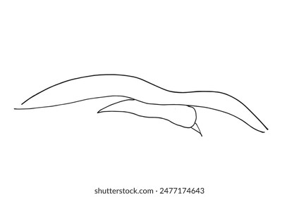 Outline illustration vector image of a seagull.
Hand drawn artwork of a seagull.
Simple cute original logo.
Hand drawn vector illustration for posters.