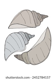 Outline illustration vector image of a seashell.
Hand drawn artwork of a seashells.
Simple cute original logo.
Hand drawn vector illustration for posters.