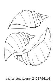 Outline illustration vector image of a seashell.
Hand drawn artwork of a seashells.
Simple cute original logo.
Hand drawn vector illustration for posters.