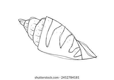 Outline illustration vector image of a seashell.
Hand drawn artwork of a seashells.
Simple cute original logo.
Hand drawn vector illustration for posters.