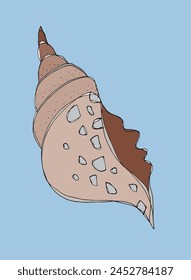 Outline illustration vector image of a seashell.
Hand drawn artwork of a seashells.
Simple cute original logo.
Hand drawn vector illustration for posters.