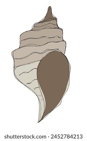 Outline illustration vector image of a seashell.
Hand drawn artwork of a seashells.
Simple cute original logo.
Hand drawn vector illustration for posters.