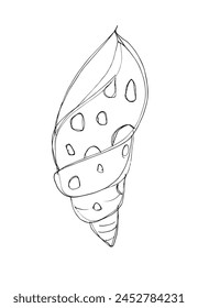 Outline illustration vector image of a seashell.
Hand drawn artwork of a seashells.
Simple cute original logo.
Hand drawn vector illustration for posters.