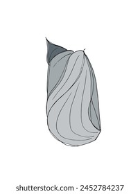 Ilustración de contorno Imagen de Vector de una concha.
Obra de arte dibujada a mano de conchas marinas.
Simple lindo logotipo original.
Ilustración vectorial dibujada a mano para carteles.