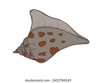 Outline illustration vector image of a seashell.
Hand drawn artwork of a seashells.
Simple cute original logo.
Hand drawn vector illustration for posters.