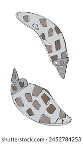 Outline illustration vector image of a seashell.
Hand drawn artwork of a seashells.
Simple cute original logo.
Hand drawn vector illustration for posters.