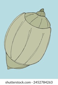 Outline illustration vector image of a seashell.
Hand drawn artwork of a seashells.
Simple cute original logo.
Hand drawn vector illustration for posters.