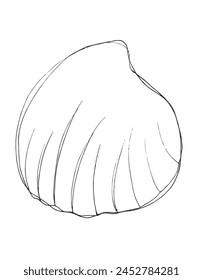 Outline illustration vector image of a seashell.
Hand drawn artwork of a seashells.
Simple cute original logo.
Hand drawn vector illustration for posters.