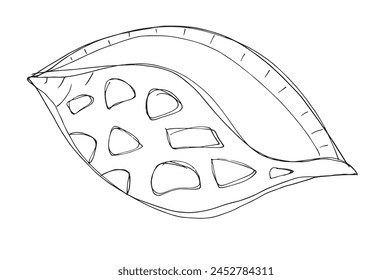 Ilustración de contorno Imagen de Vector de una concha.
Obra de arte dibujada a mano de conchas marinas.
Simple lindo logotipo original.
Ilustración vectorial dibujada a mano para carteles.