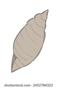 Outline illustration vector image of a seashell.
Hand drawn artwork of a seashells.
Simple cute original logo.
Hand drawn vector illustration for posters.