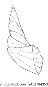 Umriss Illustration Vektorgrafik Bild einer Muschel.
Handgezeichnetes Kunstwerk einer Muschel.
Einfaches, niedliches Original-Logo.
Handgezeichnete Vektorillustration für Poster.