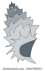 Outline illustration vector image of a seashell.
Hand drawn artwork of a seashells.
Simple cute original logo.
Hand drawn vector illustration for posters.