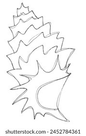 Ilustración de contorno Imagen de Vector de una concha.
Obra de arte dibujada a mano de conchas marinas.
Simple lindo logotipo original.
Ilustración vectorial dibujada a mano para carteles.