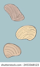 Outline illustration vector image of a seashell.
Hand drawn artwork of a seashells.
Simple cute original logo.
Hand drawn vector illustration for posters.