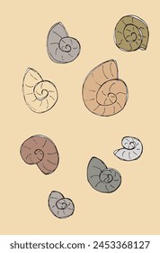 Outline illustration vector image of a seashell.
Hand drawn artwork of a seashells.
Simple cute original logo.
Hand drawn vector illustration for posters.