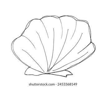 Outline illustration vector image of a seashell.
Hand drawn artwork of a seashells.
Simple cute original logo.
Hand drawn vector illustration for posters.