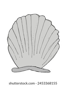 Umriss Illustration Vektorgrafik Bild einer Muschel.
Handgezeichnetes Kunstwerk einer Muschel.
Einfaches, niedliches Original-Logo.
Handgezeichnete Vektorillustration für Poster.