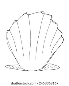 Outline illustration vector image of a seashell.
Hand drawn artwork of a seashells.
Simple cute original logo.
Hand drawn vector illustration for posters.