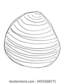 Outline illustration vector image of a seashell.
Hand drawn artwork of a seashells.
Simple cute original logo.
Hand drawn vector illustration for posters.