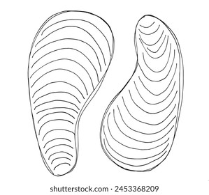 Outline illustration vector image of a seashell.
Hand drawn artwork of a seashells.
Simple cute original logo.
Hand drawn vector illustration for posters.
