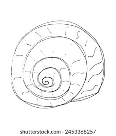 Outline illustration vector image of a seashell.
Hand drawn artwork of a seashells.
Simple cute original logo.
Hand drawn vector illustration for posters.