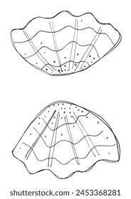 Outline illustration vector image of a seashell.
Hand drawn artwork of a seashells.
Simple cute original logo.
Hand drawn vector illustration for posters.