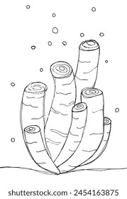 Outline illustration vector image of a seaweed.
Hand drawn artwork of a seaweed.
Simple cute original logo.
Hand drawn vector illustration for posters.