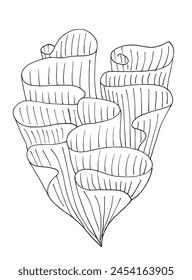 Outline illustration vector image of a seaweed.
Hand drawn artwork of a seaweed.
Simple cute original logo.
Hand drawn vector illustration for posters.
