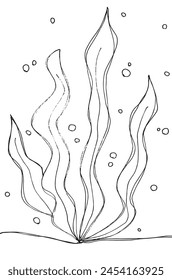 Outline illustration vector image of a seaweed.
Hand drawn artwork of a seaweed.
Simple cute original logo.
Hand drawn vector illustration for posters.