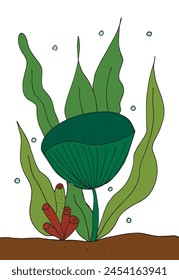 Ilustración de contorno Imagen de Vector de un alga marina.
Obra de arte dibujada a mano de un alga.
Simple lindo logotipo original.
Ilustración vectorial dibujada a mano para carteles.