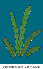 Outline illustration vector image of a seaweed.
Hand drawn artwork of a seaweed.
Simple cute original logo.
Hand drawn vector illustration for posters.