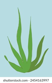 Outline illustration vector image of a seaweed.
Hand drawn artwork of a seaweed.
Simple cute original logo.
Hand drawn vector illustration for posters.