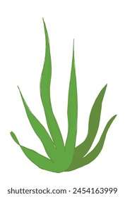 Outline illustration vector image of a seaweed.
Hand drawn artwork of a seaweed.
Simple cute original logo.
Hand drawn vector illustration for posters.
