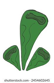 Outline illustration vector image of a seaweed.
Hand drawn artwork of a seaweed.
Simple cute original logo.
Hand drawn vector illustration for posters.