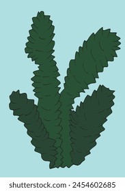 Ilustración de contorno Imagen de Vector de un alga marina.
Obra de arte dibujada a mano de un alga.
Simple lindo logotipo original.
Ilustración vectorial dibujada a mano para carteles.