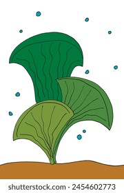 Ilustración de contorno Imagen de Vector de un alga marina.
Obra de arte dibujada a mano de un alga.
Simple lindo logotipo original.
Ilustración vectorial dibujada a mano para carteles.