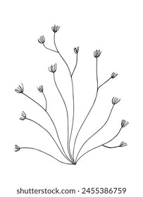 Outline illustration vector image of a seaweed.
Hand drawn artwork of a seaweed.
Simple cute original logo.
Hand drawn vector illustration for posters.