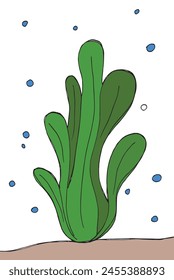 Ilustración de contorno Imagen de Vector de un alga marina.
Obra de arte dibujada a mano de un alga.
Simple lindo logotipo original.
Ilustración vectorial dibujada a mano para carteles.